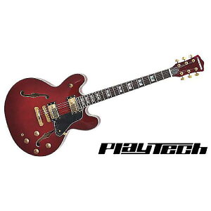 PLAYTECH ( vCebN ) / SA500 Flame Cherry Z~AR[XeBbNM^[ċx݃Z[