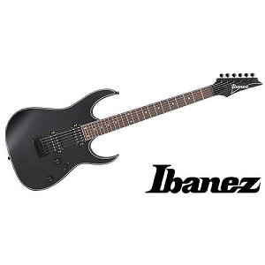 Ibanez ( ACoj[Y ) / RG421EX Black Flat GLM^[ċx݃Z[