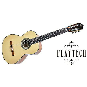 PLAYTECH ( �v���C�e�b�N ) / CG60�@�N���V�b�N�M�^�[�ċx�݃Z�[��