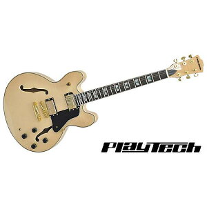 PLAYTECH ( vCebN ) / SA500 Flame Naturalċx݃Z[