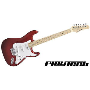 PLAYTECH ( vCebN ) / ST250 Maple Metallic Redċx݃Z[