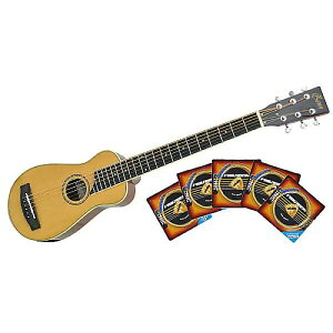 PLAYTECH ( �v���C�e�b�N ) / �y���������zZT24+�M�^�[��5�p�b�N�Z�b�g�ċx�݃Z�[��