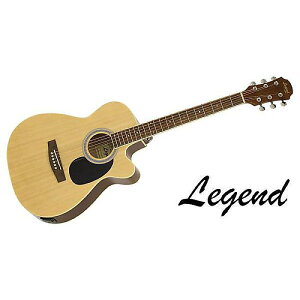 LEGEND ( WFh ) / FG-15CE Nċx݃Z[