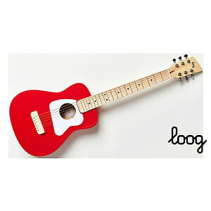 Loog ( [O ) / Pro VI Acoustic Redċx݃Z[