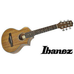 Ibanez ( ACoj[Y ) / EWP14WB-OPN@sbREAR[XeBbNM^[ċx݃Z[