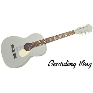 RECORDING KING ( レコーディングキング ) / RPS7 Matte Grey シングルオータイプ夏休みセール