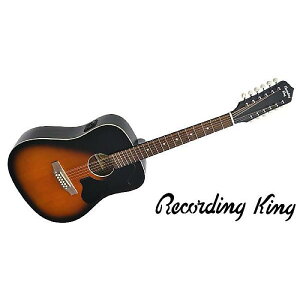 RECORDING KING ( レコーディングキング ) / RDS-9-12-FE5-TS夏休みセール