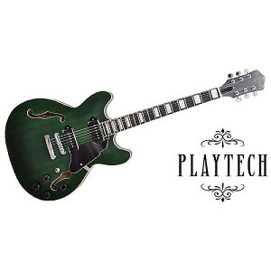 PLAYTECH ( vCebN ) / SA20 Greenċx݃Z[