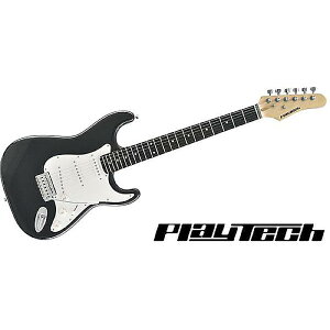 PLAYTECH ( vCebN ) / ST250 Rich Blackċx݃Z[