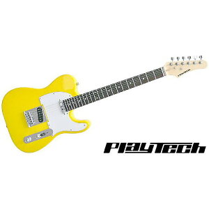 PLAYTECH ( vCebN ) / TL250 Rose Yellowċx݃Z[