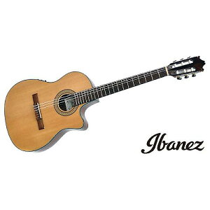 Ibanez ( ACoj[Y ) / GA30TCE-NTċx݃Z[