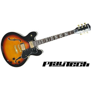 PLAYTECH ( vCebN ) / SA500 Sunburstċx݃Z[