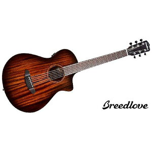 BREEDLOVE ( u[hu ) / Wildwood Pro Concertina Suede CEċx݃Z[