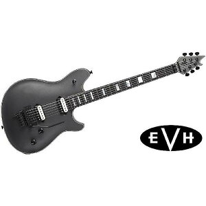 EVH ( C[uCGC` ) / Wolfgang USA Ebony Silverċx݃Z[