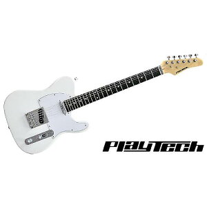PLAYTECH ( vCebN ) / TL250 Rose White GLM^[ċx݃Z[