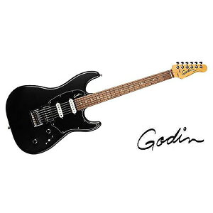 GODIN GUITAR ( S_M^[ ) / SESSION HT MATTE BLACK RNċx݃Z[