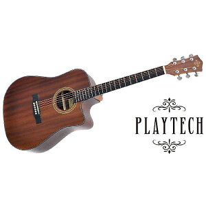 PLAYTECH ( vCebN ) / AD28MC@hbhm[gEJb^EFC^Cvċx݃Z[