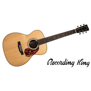 RECORDING KING ( R[fBOLO ) / RO-328@gvI[^Cvċx݃Z[