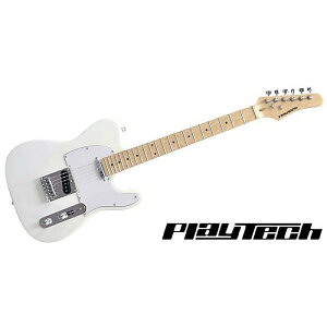 PLAYTECH ( vCebN ) / TL250 Maple Whiteċx݃Z[