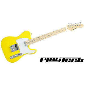 PLAYTECH ( vCebN ) / TL250 Maple Yellowċx݃Z[