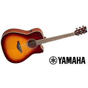 YAMAHA ( }n ) / FGC-TA BSċx݃Z[