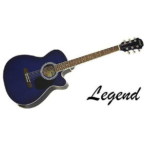 LEGEND ( レジェンド ) / FG-15CE BLS夏休みセール