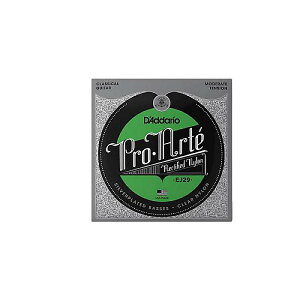 DADDARIO ( �_�_���I ) / EJ29 Pro-Arte Silver Wound/Rectified Clear Nylon - Mederate�ċx�݃Z�[��