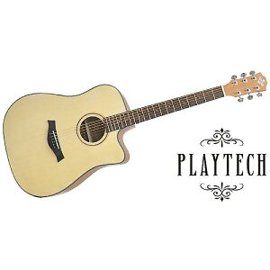 PLAYTECH ( vCebN ) / AD28CE@hbhm[gEJb^EFC^Cvċx݃Z[