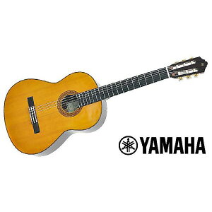 YAMAHA ( }n ) / CG-TAċx݃Z[