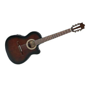 Ibanez ( ACoj[Y ) / GA30TCE-DVSċx݃Z[