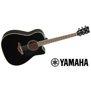YAMAHA ( }n ) / FGC-TA BLċx݃Z[
