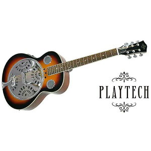 PLAYTECH ( vCebN ) / RG10@GNgbNE]l[^[M^[ċx݃Z[
