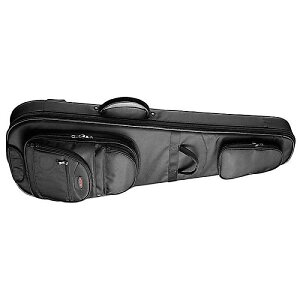 Access Bags and Cases ( ANZX ) / AB5EG1ċx݃Z[