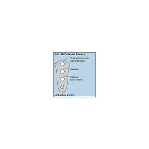 NOLL ELECTRONIC ( �m���G���N�g���j�b�N ) / PA1-JB Onboard Preamp Gold�ċx�݃Z�[��