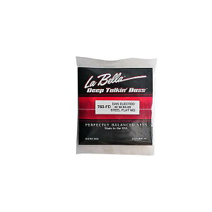 La Bella ( ���x�� ) / 760-FD Dan Electro Stainless Flats�ċx�݃Z�[��