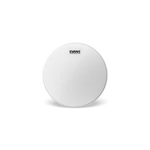 EVANS ( �G�o���X ) / B15G12�@G12 �R�[�e�b�h 15�C���`�ċx�X�y�V����
