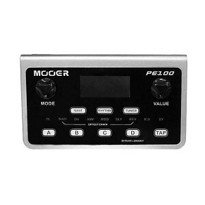 MOOER ( ���[�A�[ ) / PE100�ċx�݃Z�[��