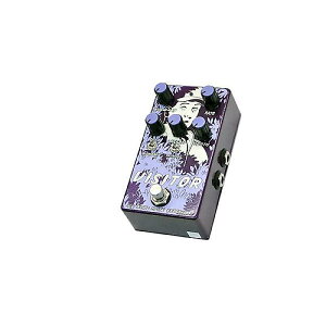 Old Blood Noise Endeavors ( �I�[���h�u���b�h�m�C�Y�G���f���@�[�Y ) / Visitor Parallel Multi-Modulator�ċx�݃Z�[��