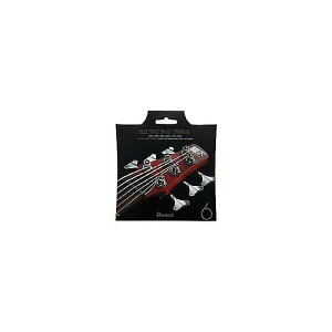 Ibanez ( ACoj[Y ) / IEBS6Cċx݃Z[