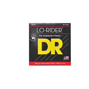 DR ( �f�B�[�A�[�� ) / LH-40 LO-RIDER Stainless Light 40-100�ċx�݃Z�[��