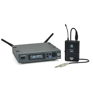 CLASSIC PRO ( NVbNv ) / CWS810Gċx݃Z[