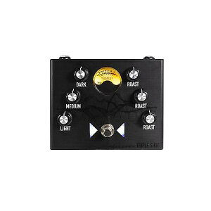 ASHDOWN ( �A�b�V���_�E�� ) / TRIPLE SHOT VU�ċx�݃Z�[��