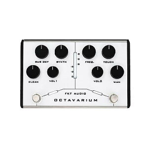 FKT AUDIO ( �G�t�P�[�e�B�[�I�[�f�B�I ) / Octavarium�ċx�݃Z�[��