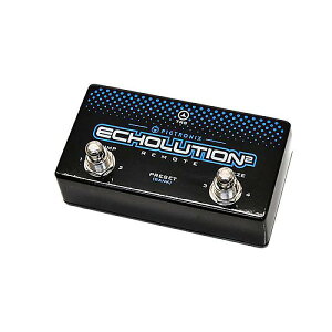 PIGTRONIX ( sOgjNX ) / Echolution 2 Remoteċx݃Z[