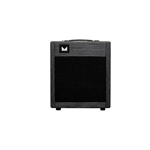 Morgan Amplification ( [KEAvtBP[V ) / TWEED20 COMBOċx݃Z[
