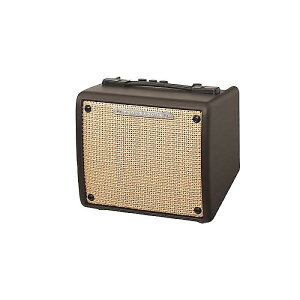 Ibanez ( ACoj[Y ) / T15IIċx݃Z[