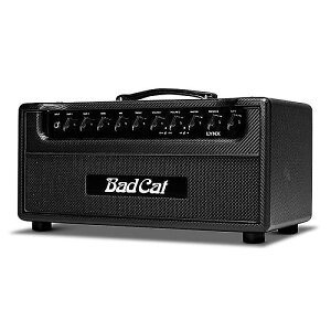 BAD CAT ( obhLbg ) / Lynx Headċx݃Z[