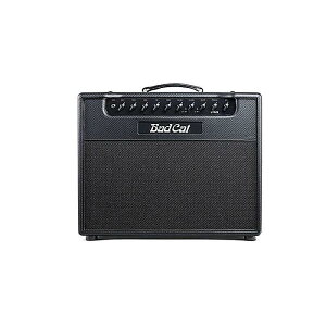 BAD CAT ( obhLbg ) / Lynx 1x12 Comboċx݃Z[