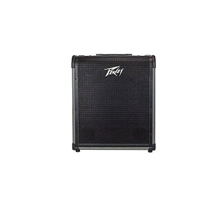 PEAVEY ( �s�[���B�[ ) / MAX250�ċx�݃Z�[��