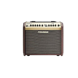 FISHMAN ( フィッシュマン ) / Loudbox Mini Bluetooth Amplifier夏休みセール